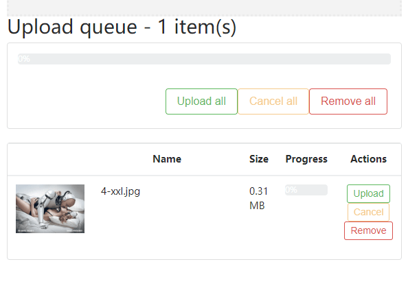 Upload Module for Angular 6+ - ngx-upload | Angular Script