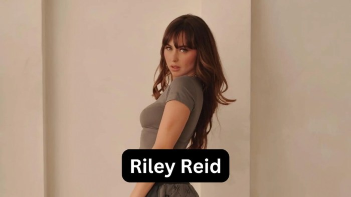 Riley Reid Wiki, Biography, Age, Husband, Net Worth, Bio, Riley reid husband net worth