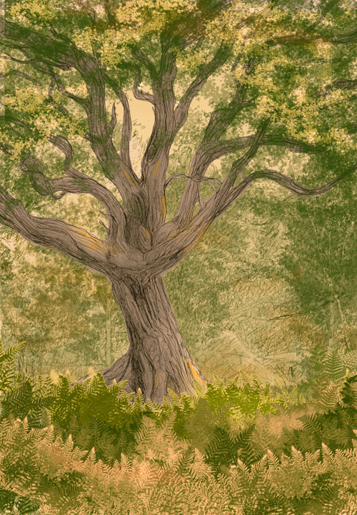 Zeus symbol oak tree