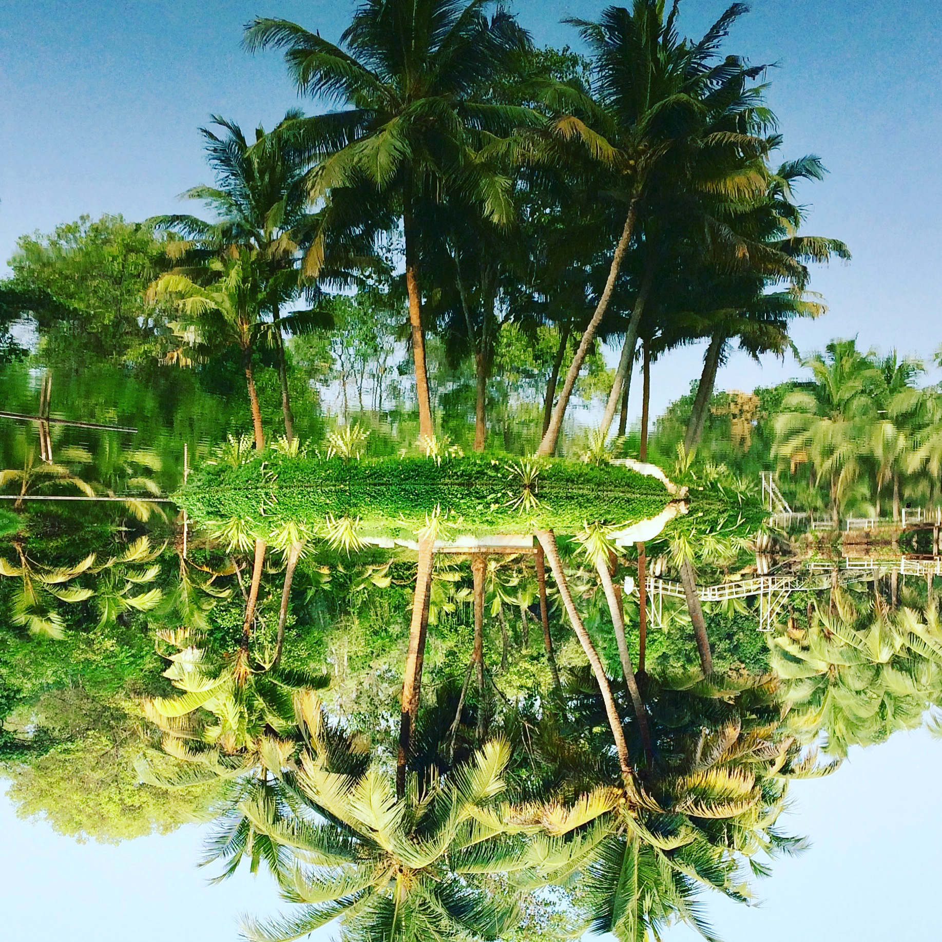 Windsor castle hotel