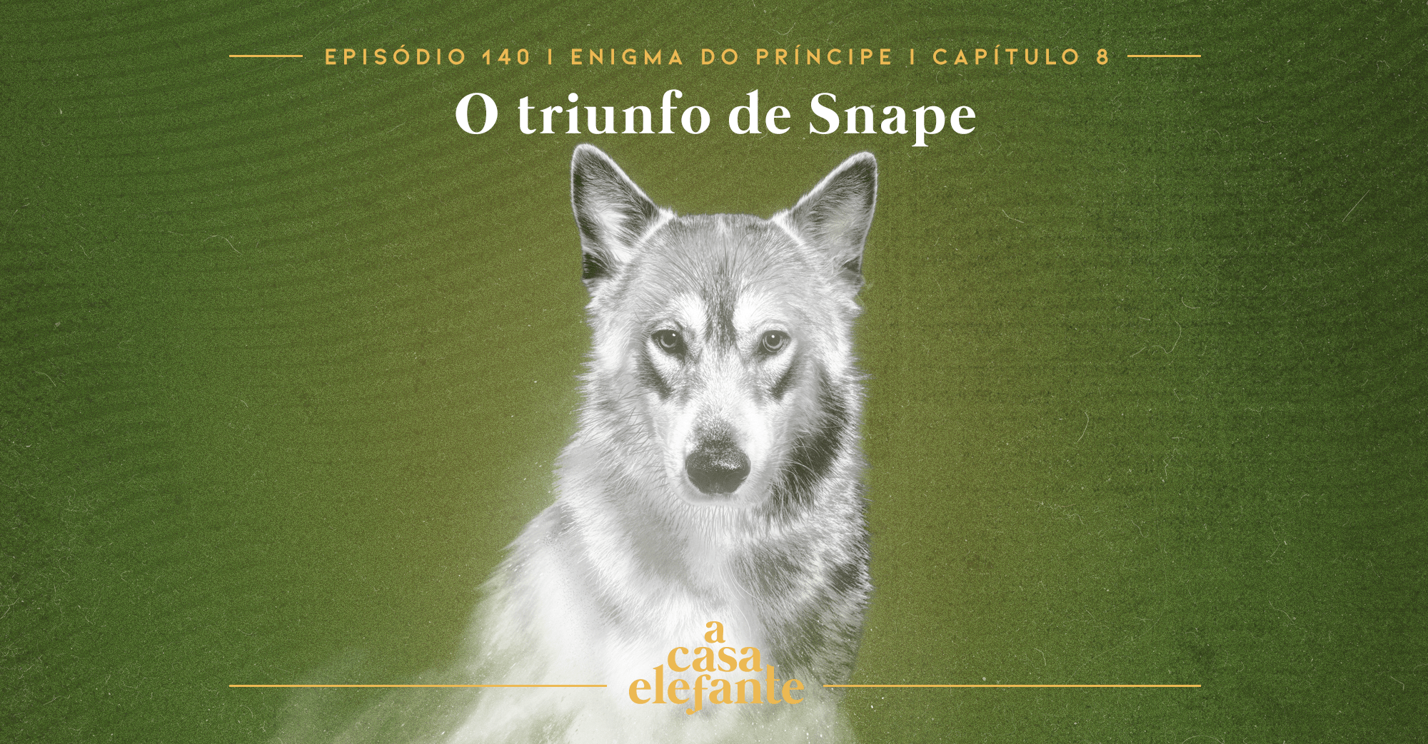 Fundo verde escuro com textura envelhecida. Em cima há informações sobre o episódio, e na parte inferior, o logo do podcast em amarelo. Em destaque, o patrono de Tonks, um lobo prateado e semitransparente.