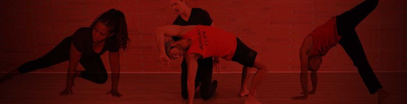 Find An Instructor Animal Flow - Mountain Texture Collection - Retina Quality