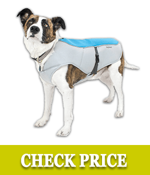 bingpet dog cooling jacket