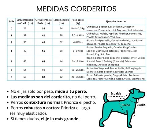 Petlounge Corderito Chiporro Manga Corta - 2