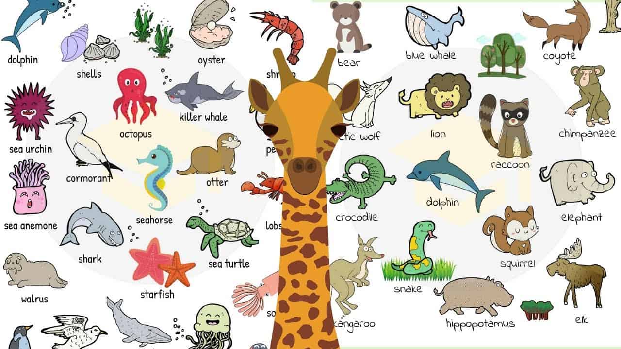 A to z list of animal names: check it out