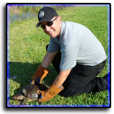 Broward county, fl animal control trapping & bee removal services