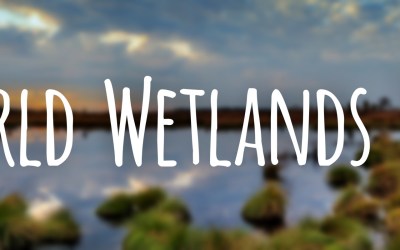 4 animals that live in wetlands – #WorldWetlandsDay