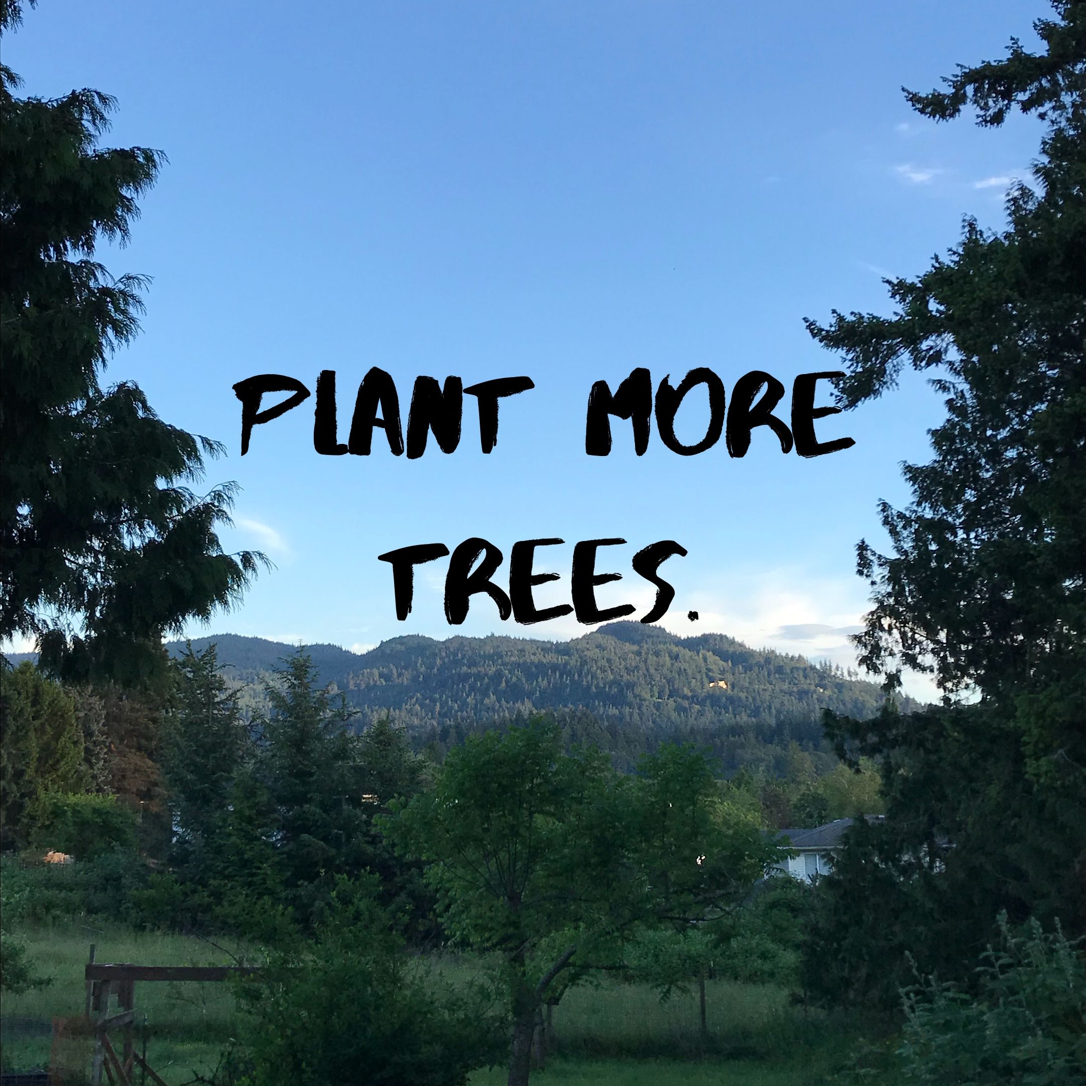 Plant more trees.