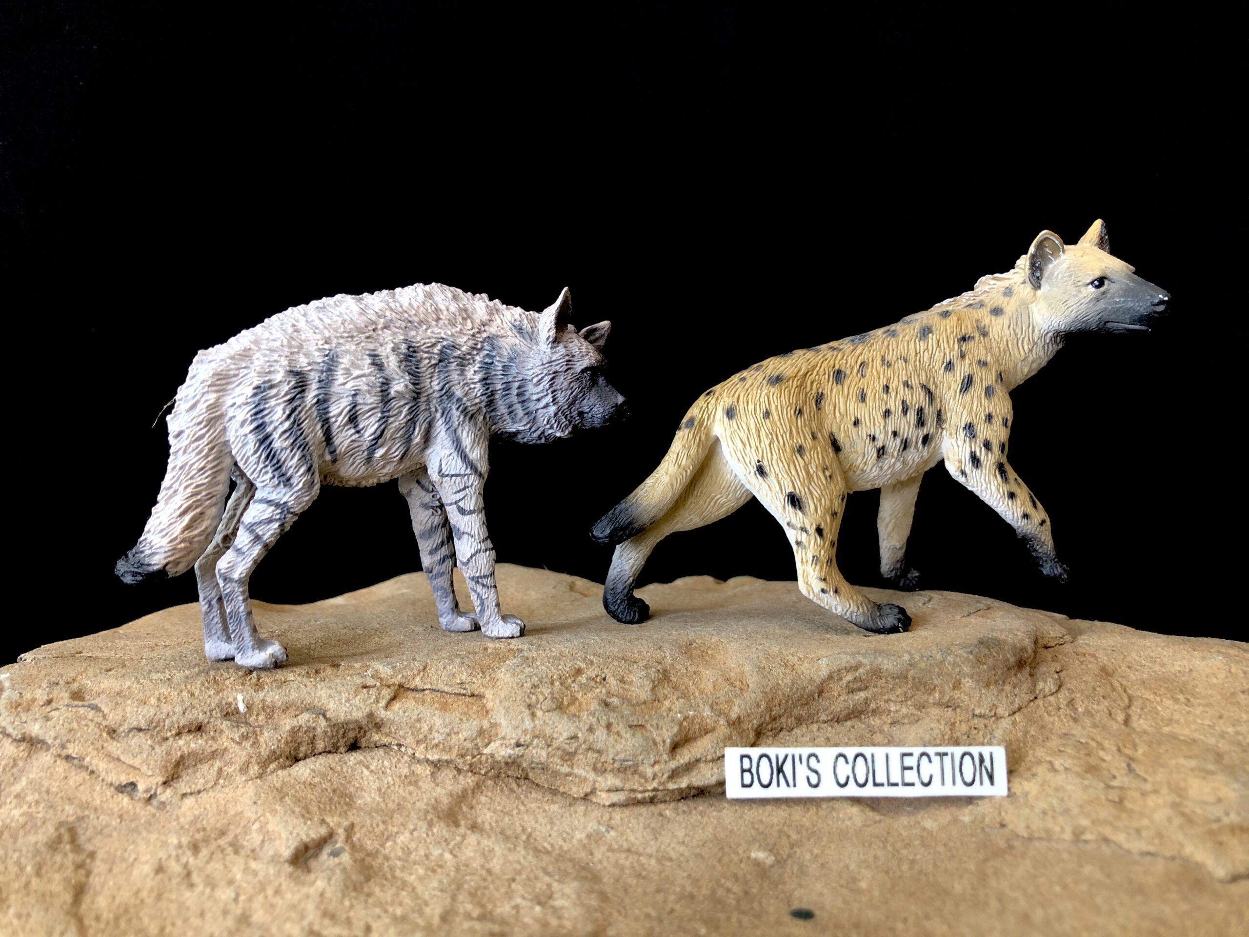 IMG_5175 Animal Toy Blog