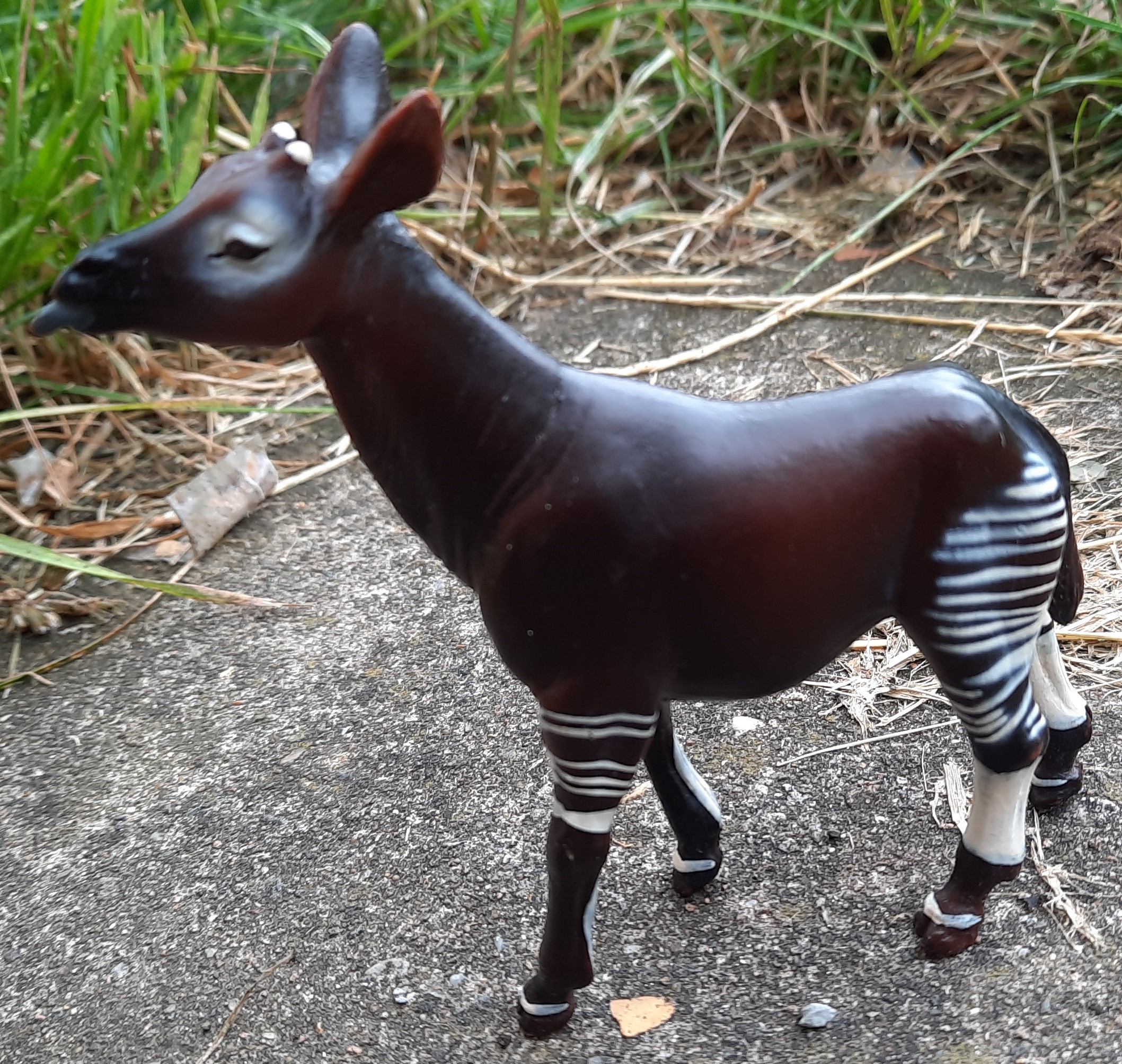 Okapi Wild Safari Wildlife By Safari Ltd Animal Toy Blog