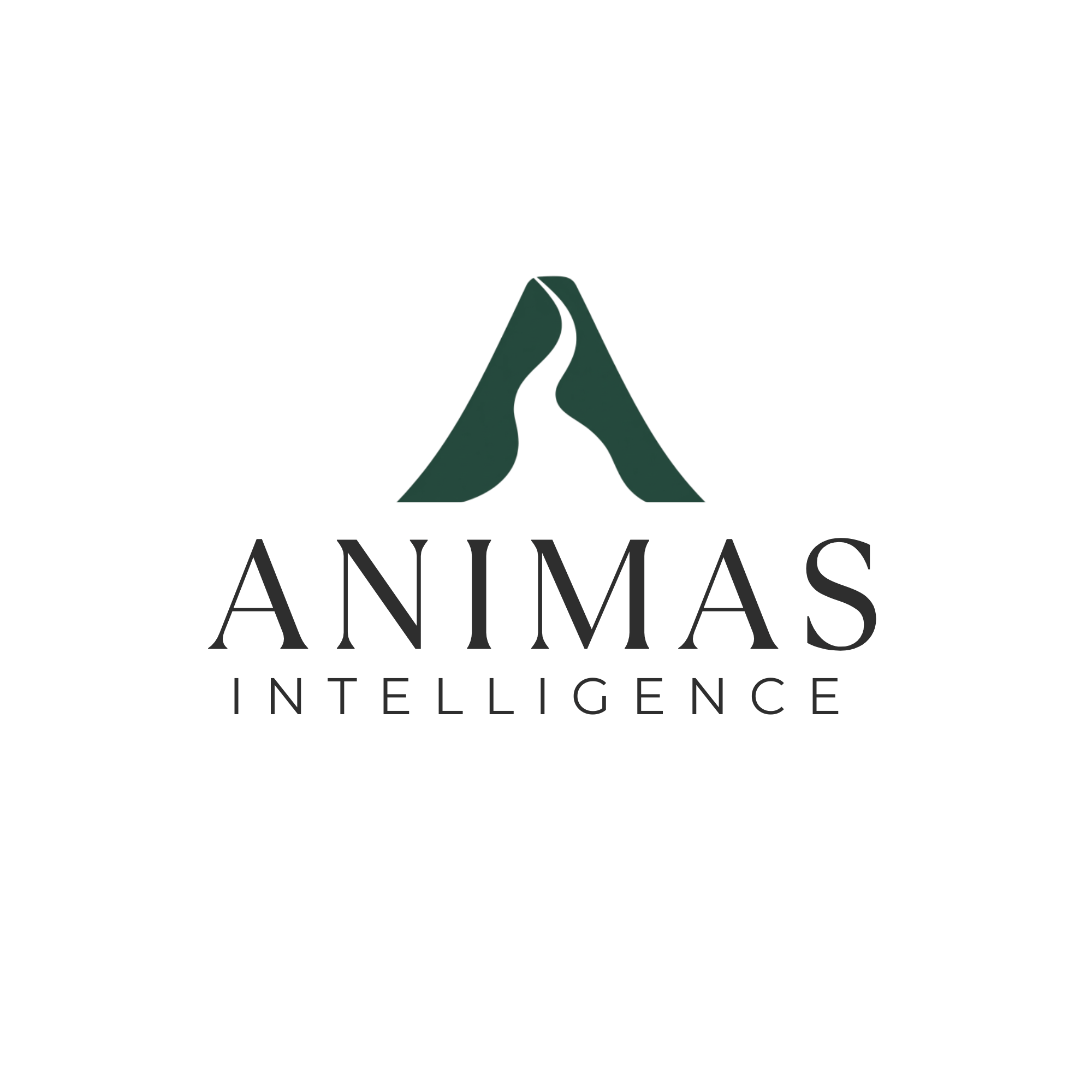 We capture the knowledge, judgment, voice and operating standards held by your founder and transform them into a private intelligence system your entire company can use.