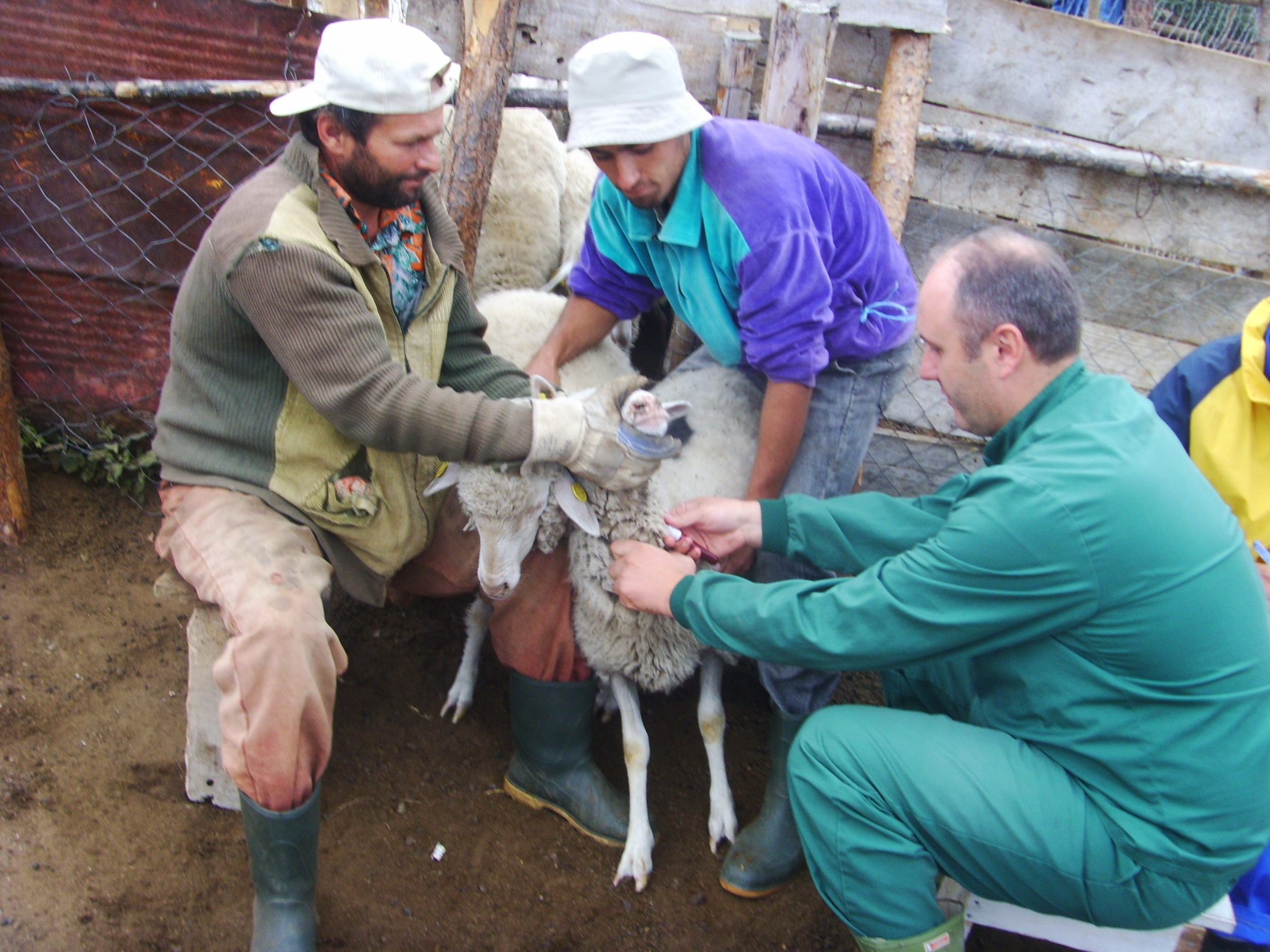 resized-image-Promo (4)