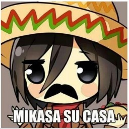 User
