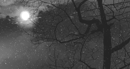 Drawn To It My Enduring Bones