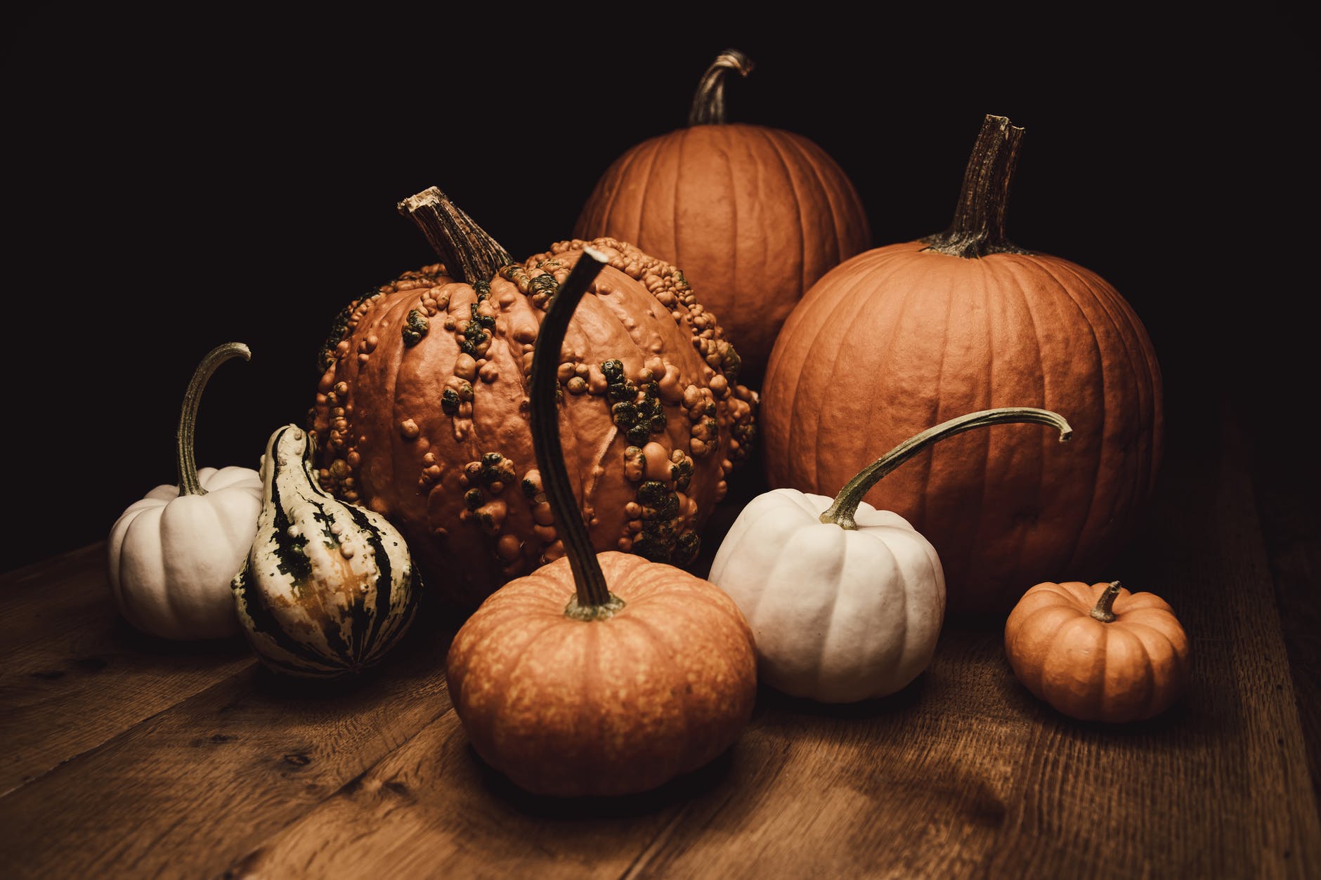 variety of pumpkins