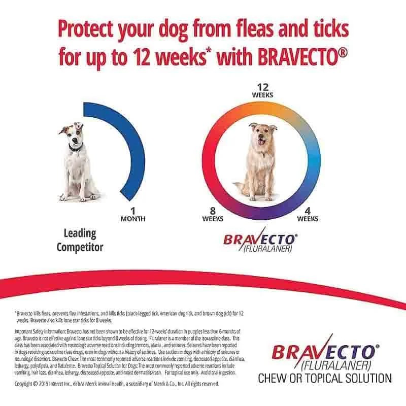 How quickly does bravecto kill fleas and ticks?