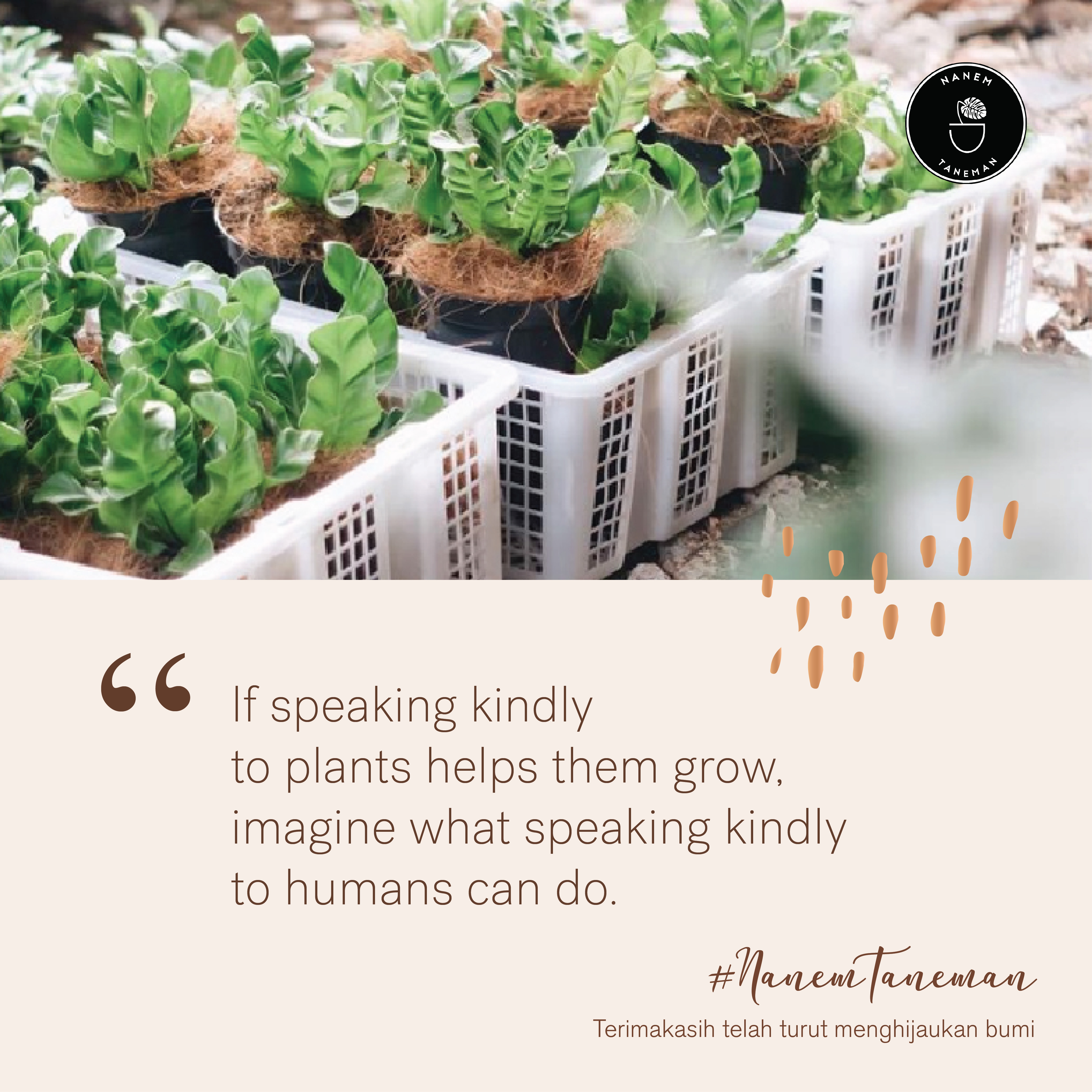 Quotes-01