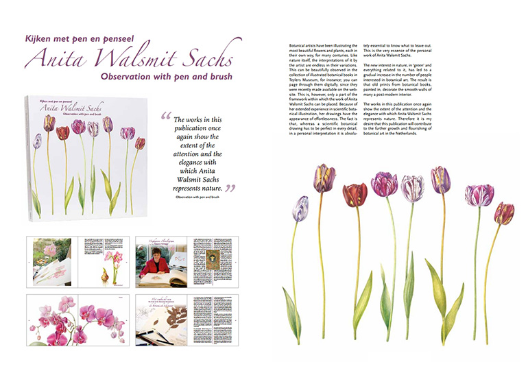Anita Walsmit Sachs Botanisch Kunstenaar Botanic Artist