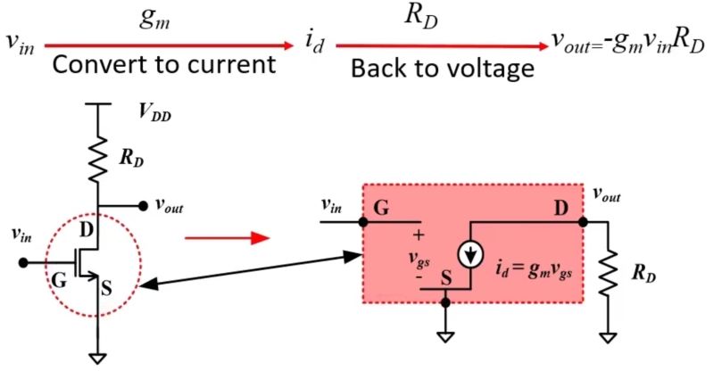 Mos Aniurm S Notebook - Premium Nature Photo Gallery - High Resolution