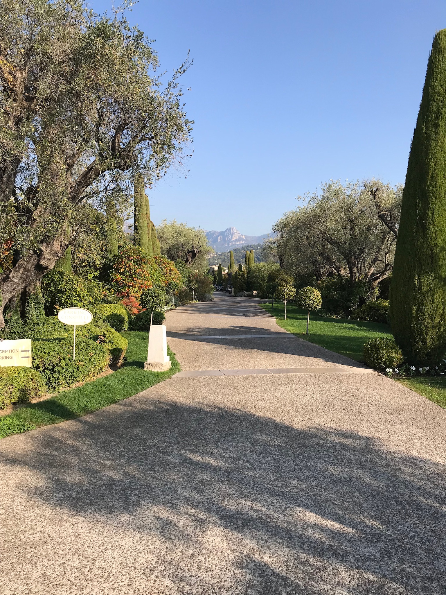 9F29A150-80AF-41B2-A844-E7BB922BEFF9