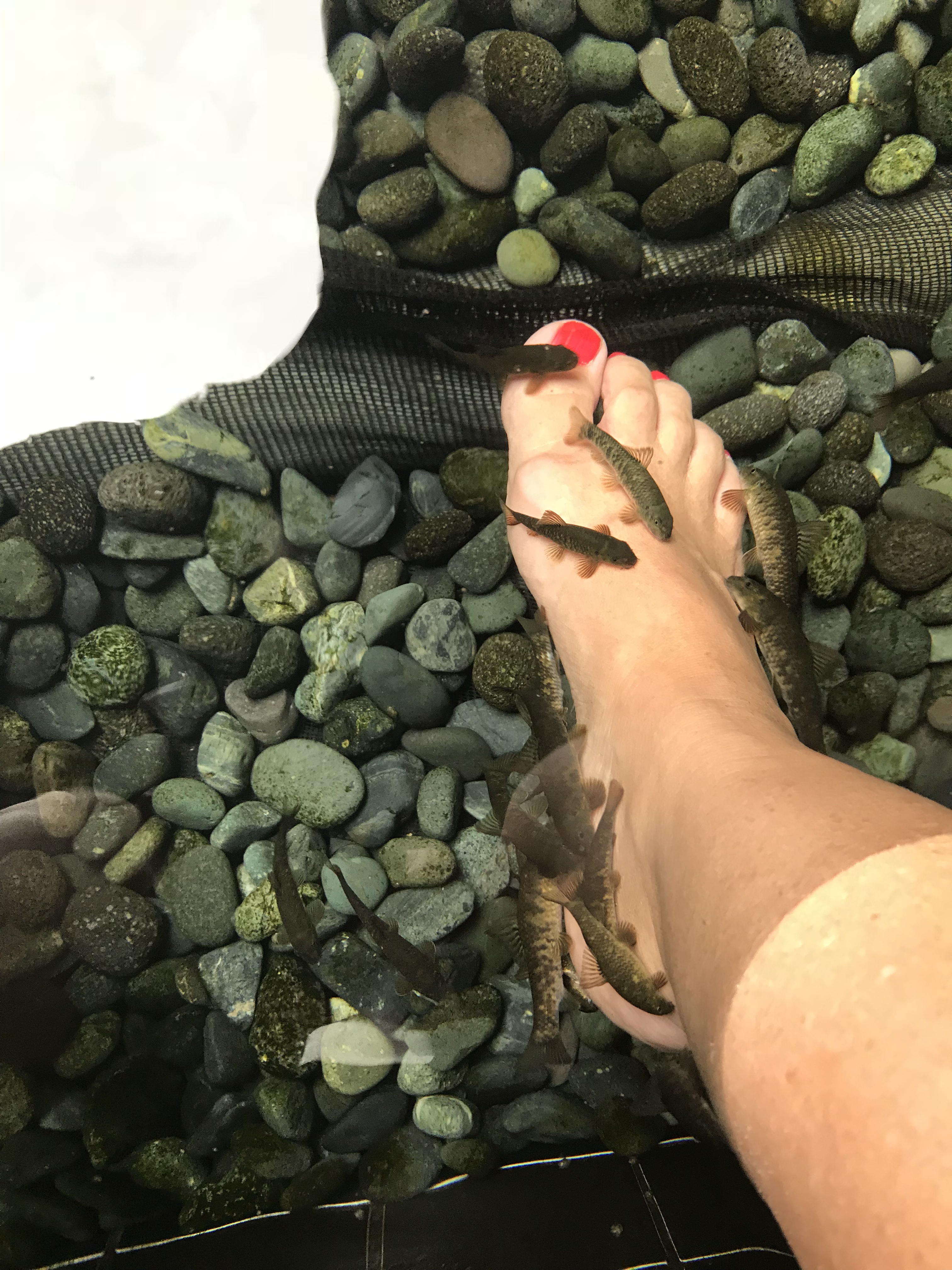 1766089E-48DD-49C7-8357-E2CC5C9EB02D