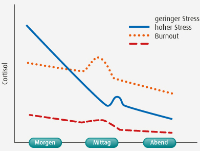 50+ Fresh Schlaf Hormon - 10 kuriose Fakten Ã¼ber Katzen | Geliebte Katze | herz / Der schlafcoach martin schlott erklärt, wie die nächte besser werden.