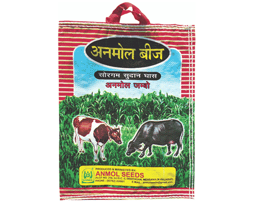 Anmol-Jambo