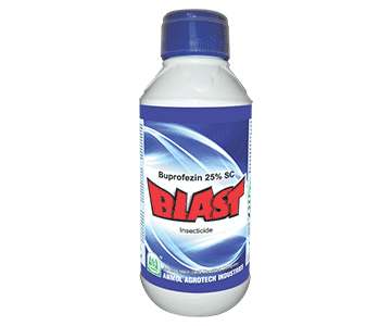 Blast