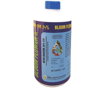 Bloom
