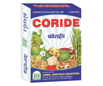 CORiDE