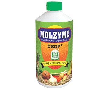 Molzyme