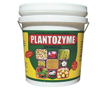 Plantozyme