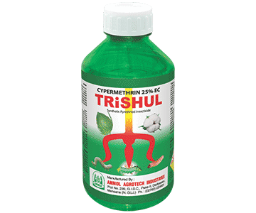 Trishul