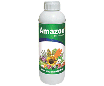 amazon
