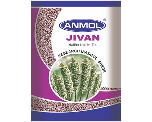 anmol-jevan