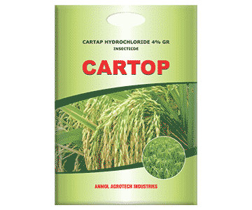 Cartop