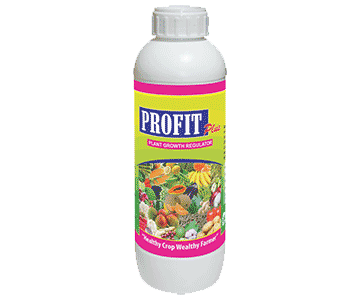 profet