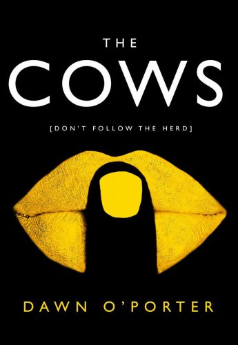 A sassy pageturner - smart, fun and thought-provoking