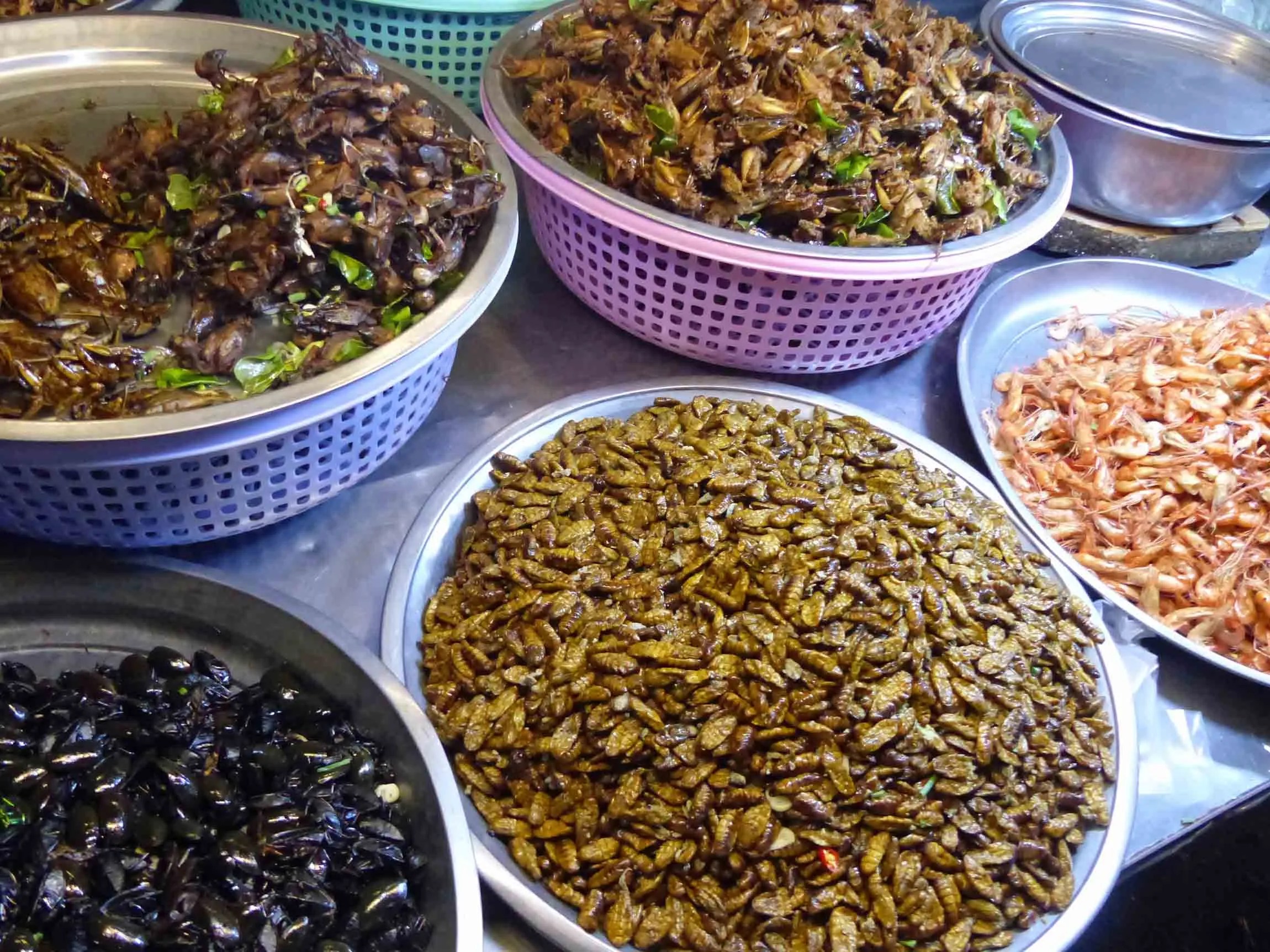 grilled insects Phnom Penh street food stall