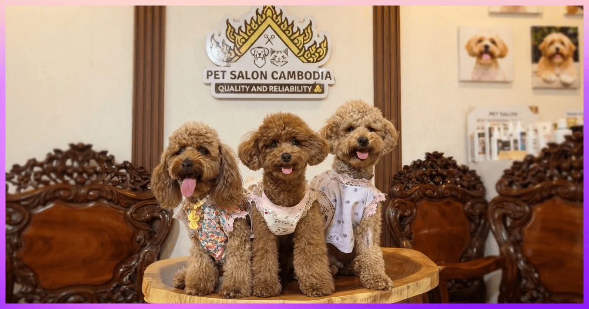 Dog dressed in a mini Khmer outfit at Pet Salon Cambodia