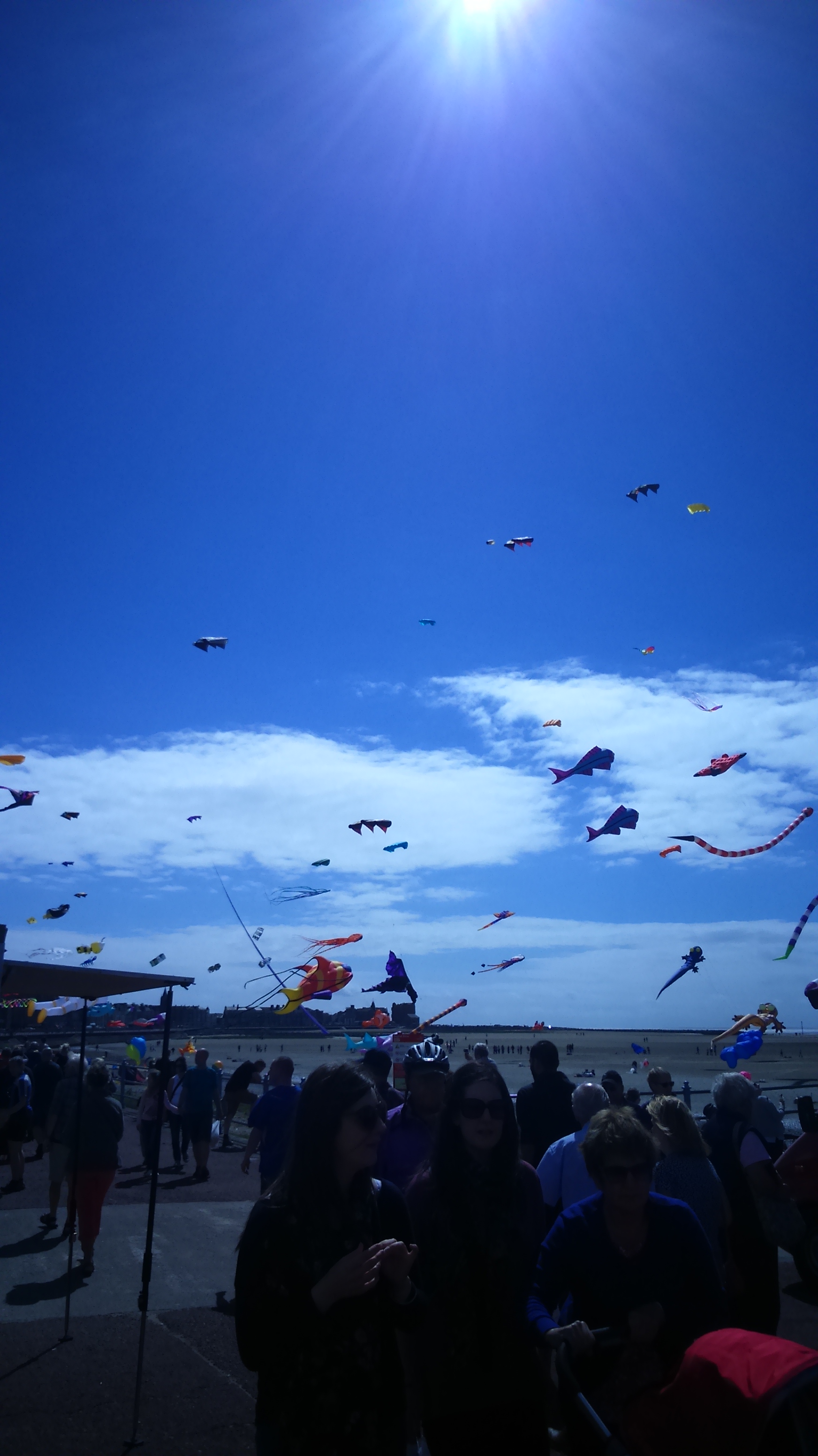 More kites in a cold year.