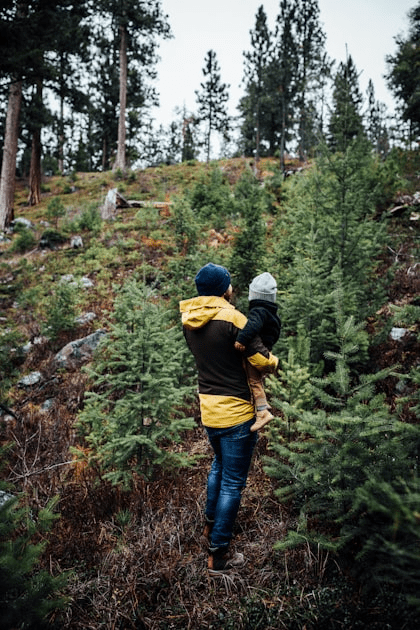 Resources for Parents of Traumatized Children