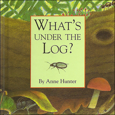 What's Under the Log?