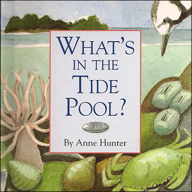 What's in the Tide Pool?