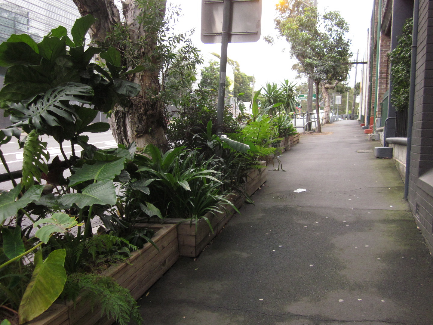 (Photo copyright: Anne Lawson 2014)