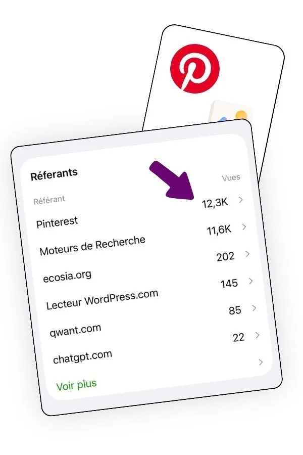 Capture d'écran de clics sortants Pinterest sur une année