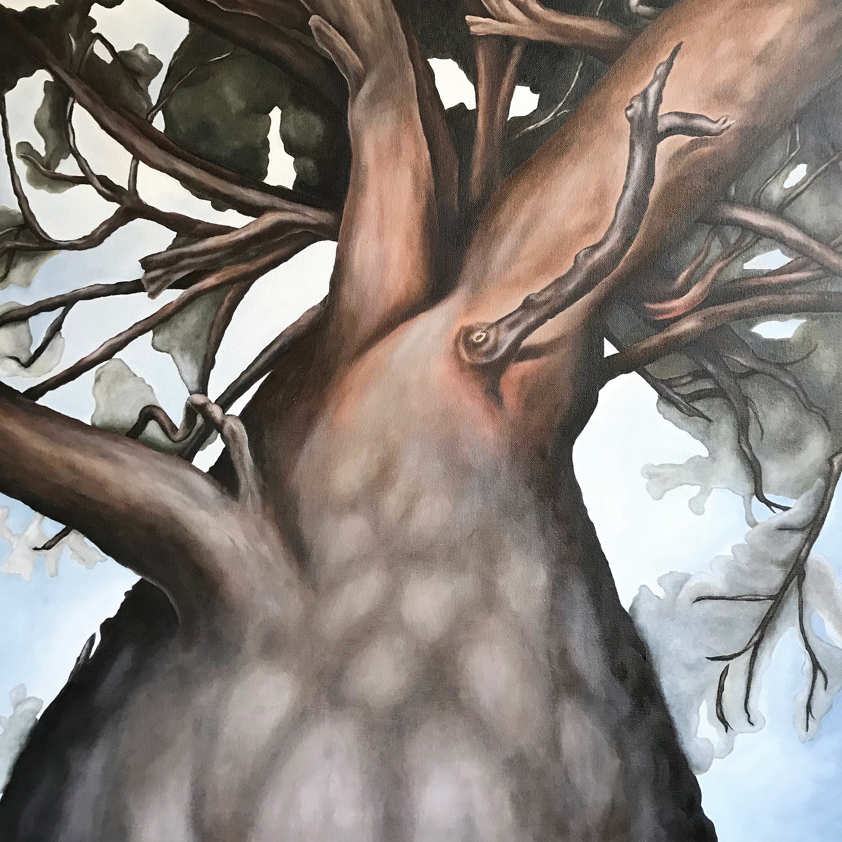 "Pine tree", oil, 60x60