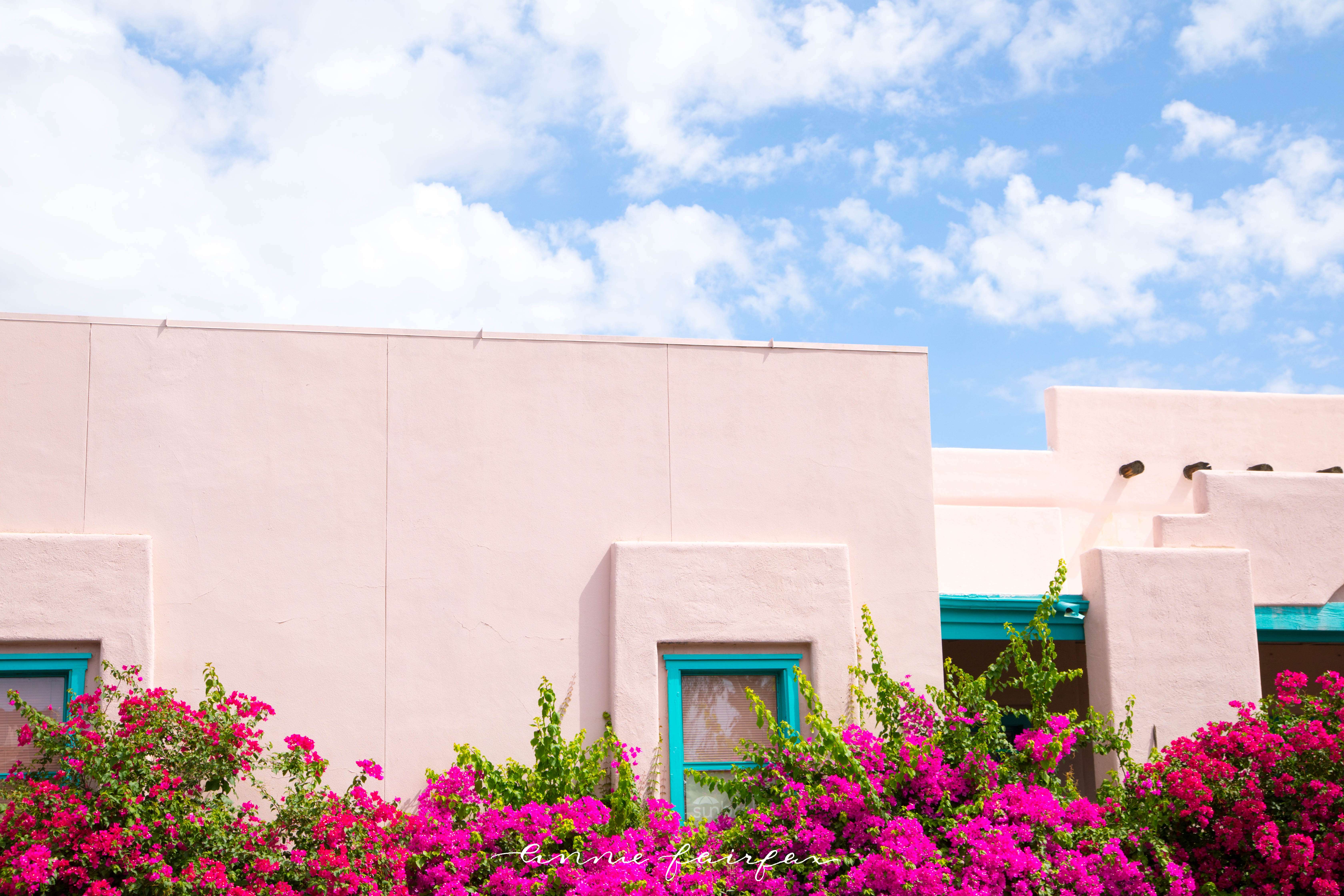 Visitor's Guide to Tucson, Arizona: what to See, Eat, & Do adobe Stucco house pink. house Tucson Arizona
