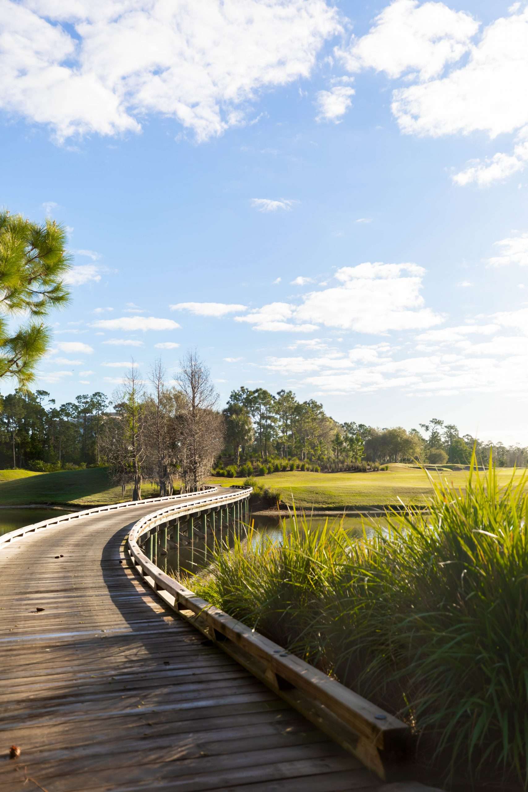 Waldorf Astoria Orlando Golf Club in Orlando Florida Photographed by Annie Fairfax