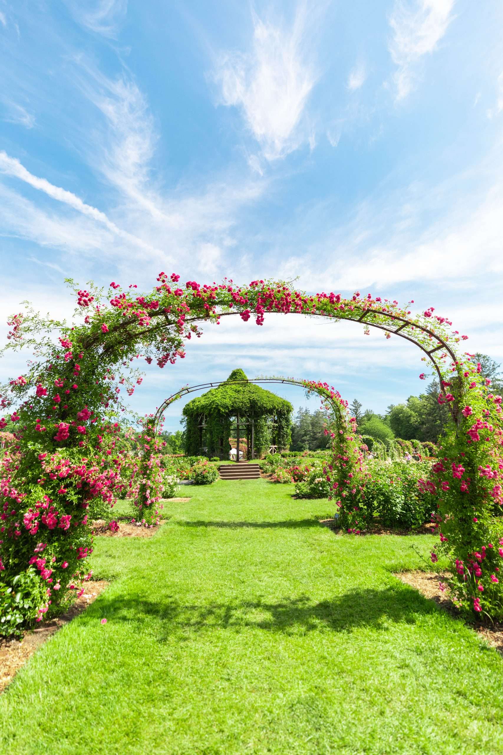 The United State's Oldest Rose Garden - Annie Fairfax